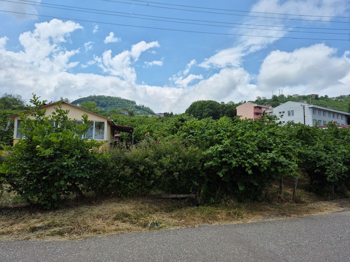 Property-photo