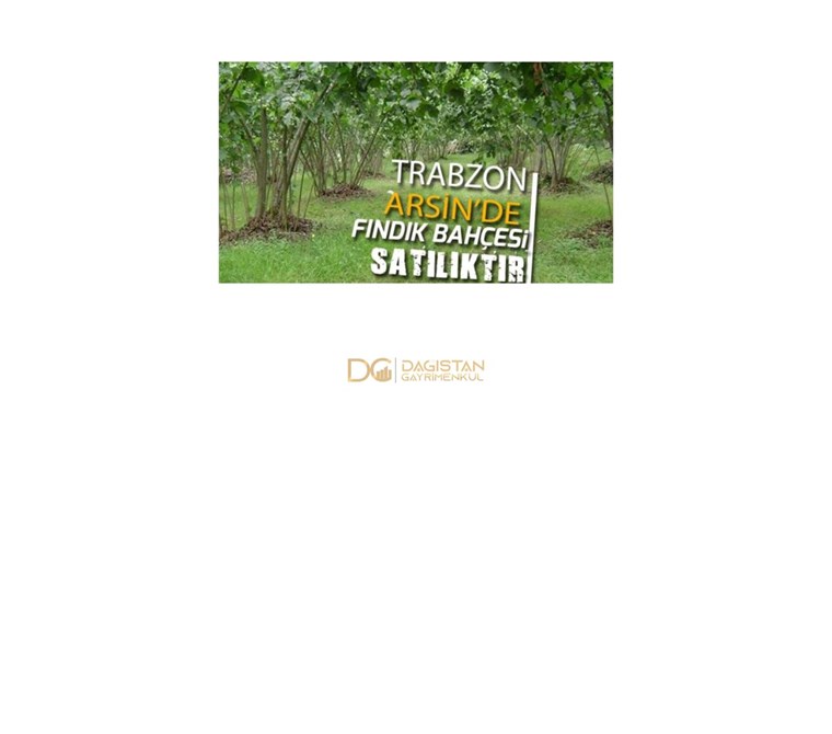 TRABZON ARSİN ELMAALAN'DA SATILIK 2790 m2 FINDIK BAHÇESİ