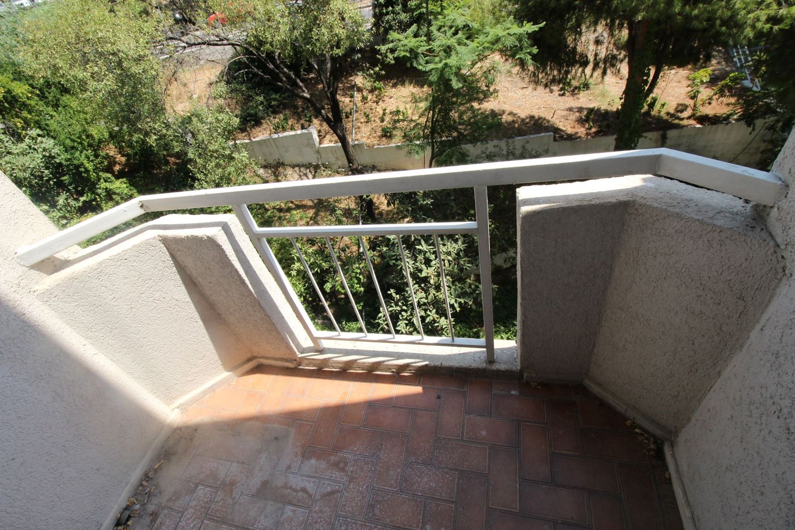 20297292