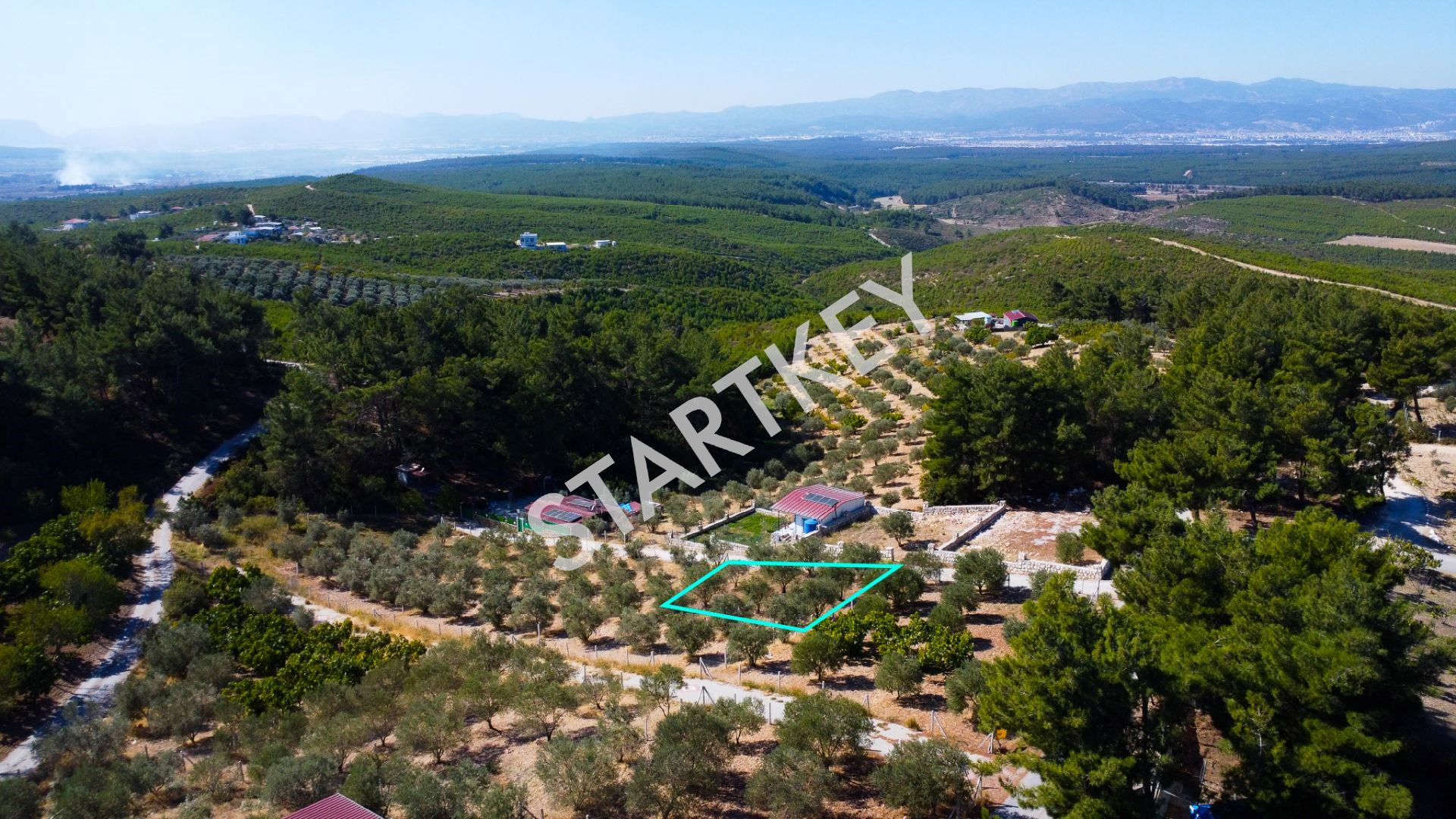 Property-photo