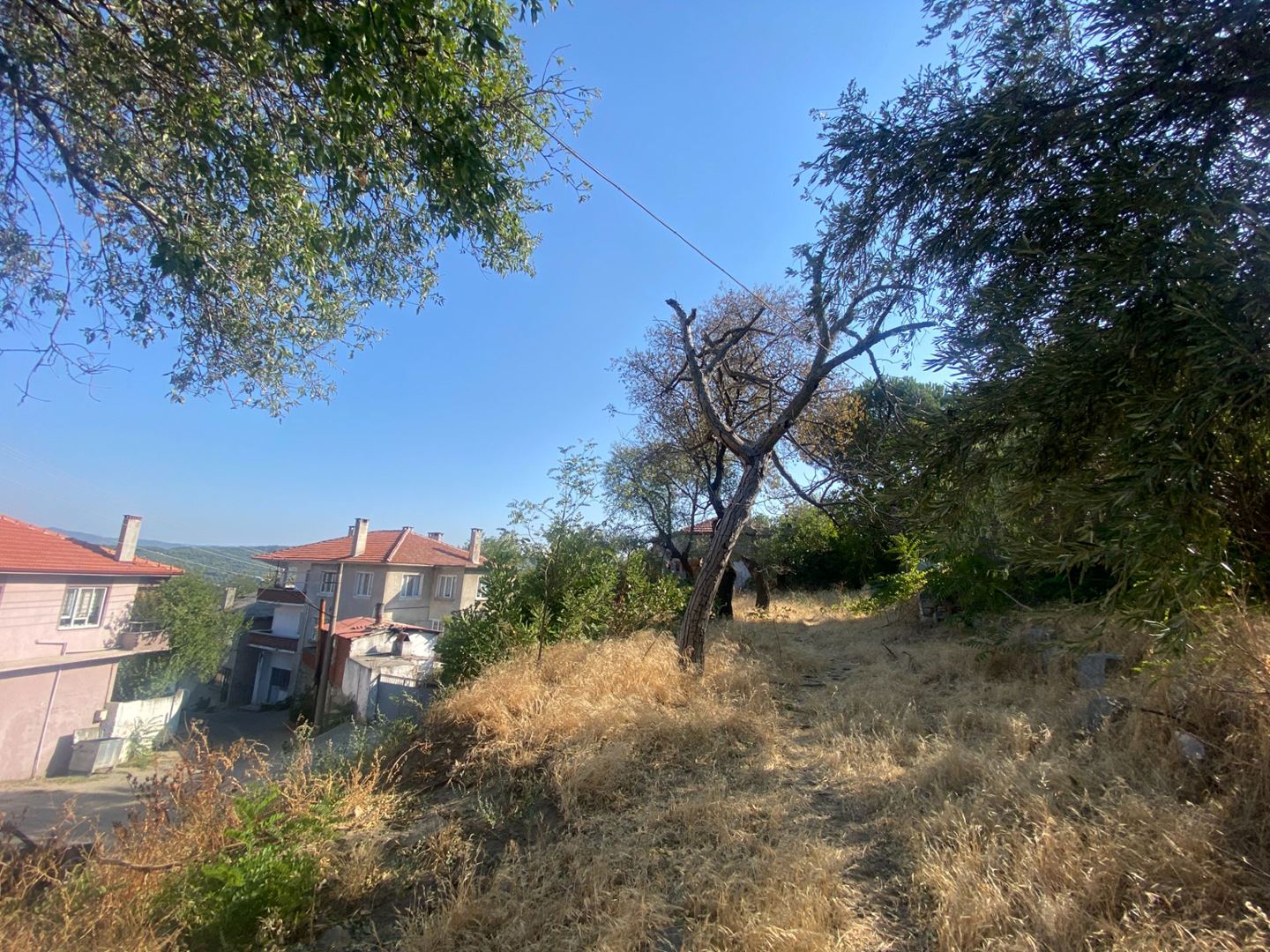 Property-photo