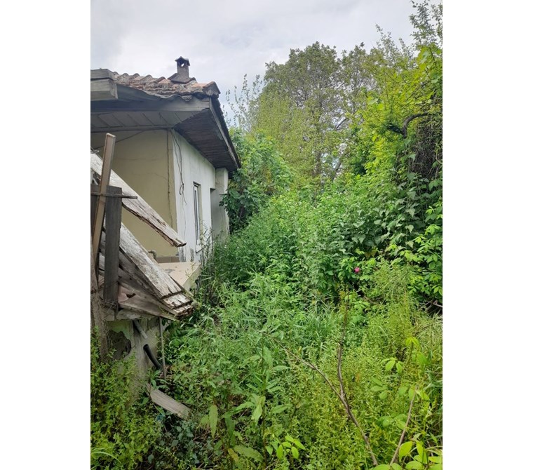 köyceğiz kavakarasında satılık 2059 m2 bahçe içinde köyevi