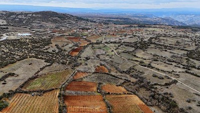İNCİRYA EMLAK'DAN ÇALÇAKIRLARDA 1.960 M² HOBİ BAHÇESİ