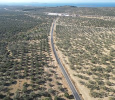 ALTIN EMLAKTAN GÖMEÇ KEREMKÖY KOZAK YOLU ÜZERİNDE ZEYTİNLİK