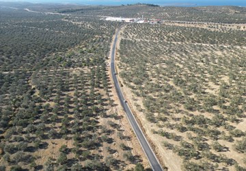 ALTIN EMLAKTAN GÖMEÇ KEREMKÖY KOZAK YOLU ÜZERİNDE ZEYTİNLİK