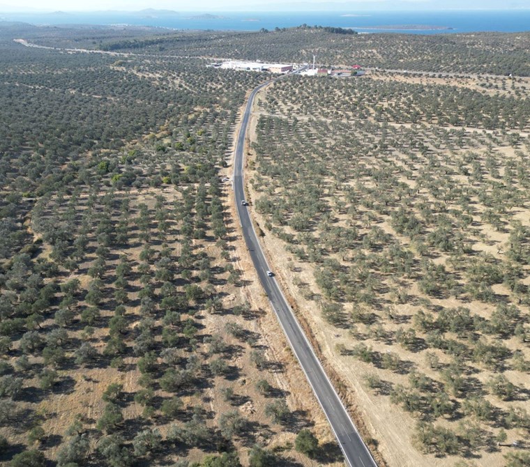 ALTIN EMLAKTAN GÖMEÇ KEREMKÖY KOZAK YOLU ÜZERİNDE ZEYTİNLİK