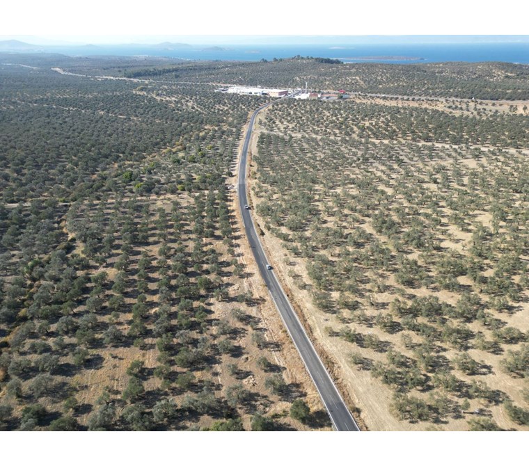 ALTIN EMLAKTAN GÖMEÇ KEREMKÖY KOZAK YOLU ÜZERİNDE ZEYTİNLİK