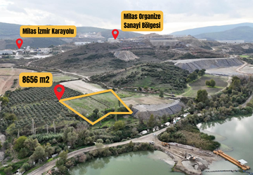 Milas Organize Sanayi Bölgesine Komşu Yatırımlık Satılık Tarla!