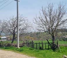 ÇANAKKALE ÇAN DONDURMA KÖYÜNDE KÖYİÇİ İMARLI BÜYÜK ARSA
