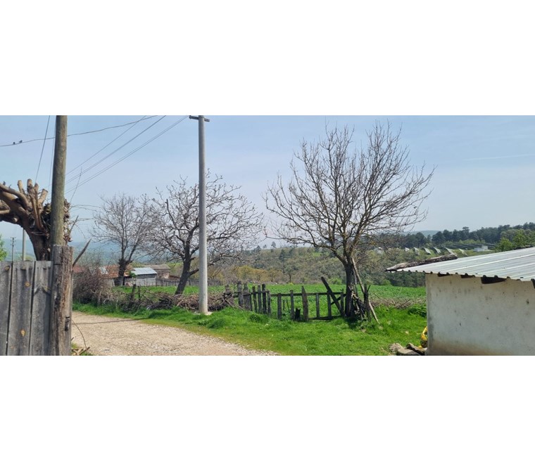 ÇANAKKALE ÇAN DONDURMA KÖYÜNDE KÖYİÇİ İMARLI BÜYÜK ARSA