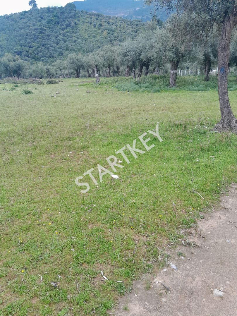 Property-photo