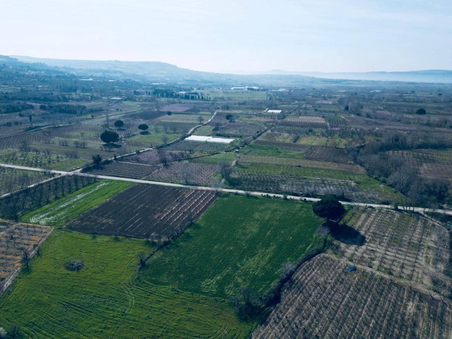 UMURBEYDE TARIMA ELVERİŞLİ ARAZİ — Çanakkale gayrimenkul ilan görseli 4 / 6, Aevum Troia