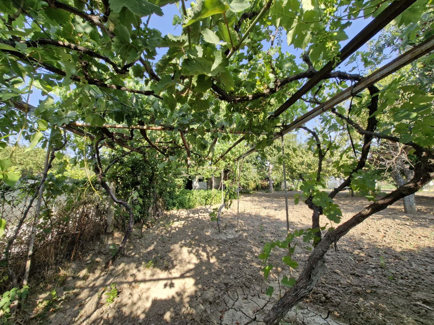 Property-photo