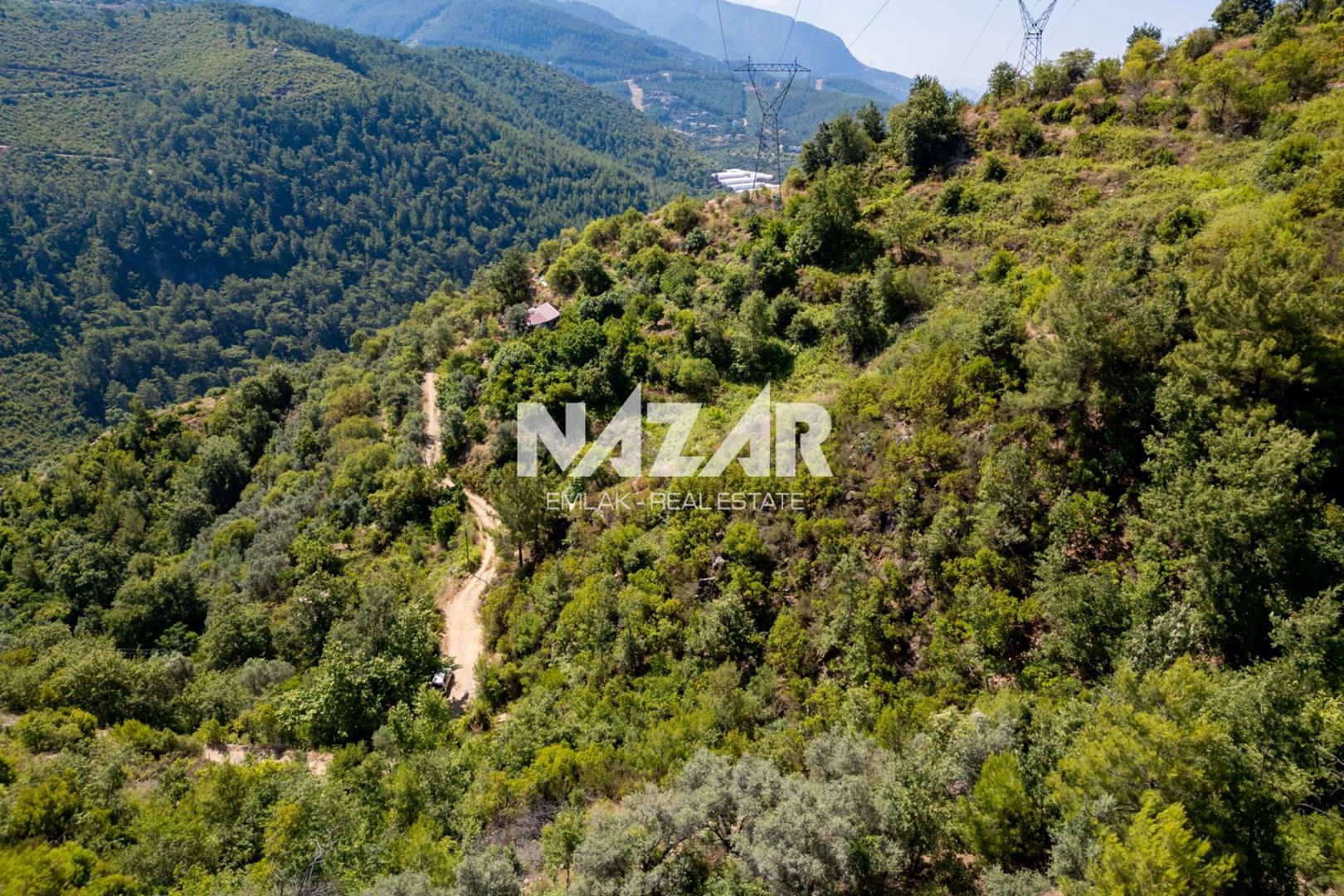 Property-photo