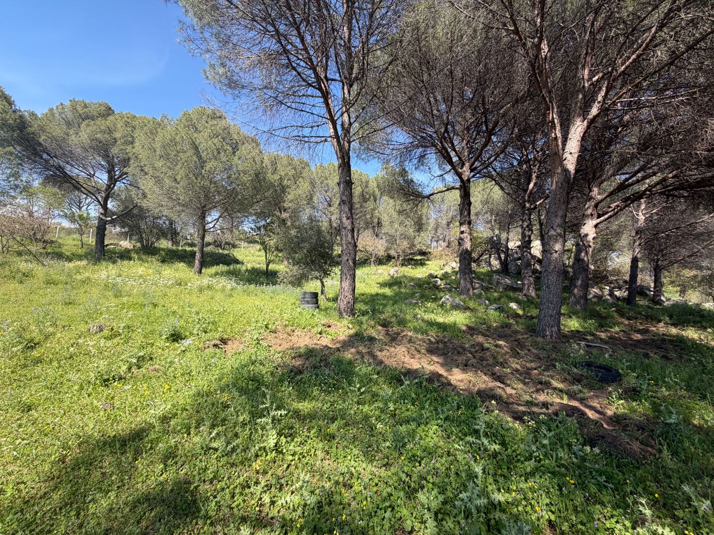 Property-photo