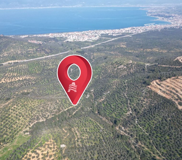 ALTIN EMLAKTAN BURHANİYE PELİTKÖY DE SATILIK 7087 M2 ZEYTİNLİK