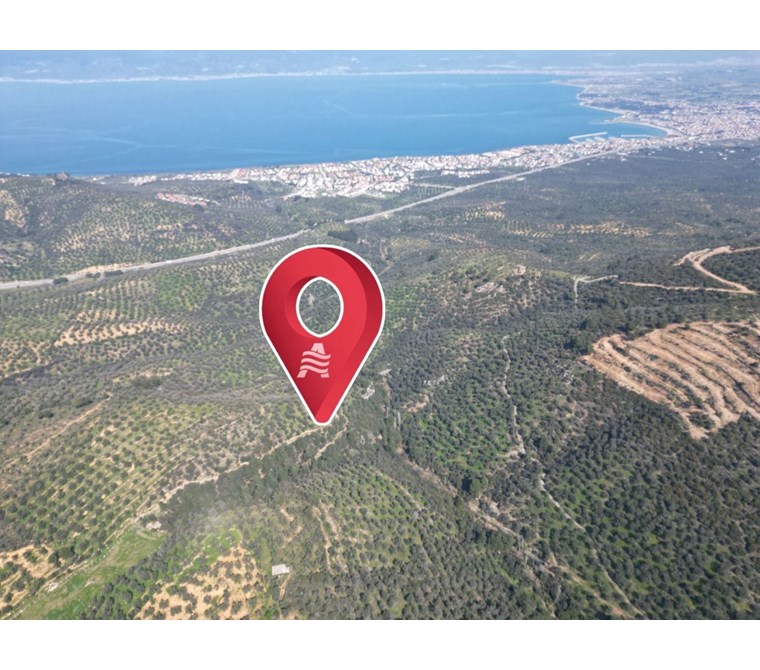 ALTIN EMLAKTAN BURHANİYE PELİTKÖY DE SATILIK 7087 M2 ZEYTİNLİK