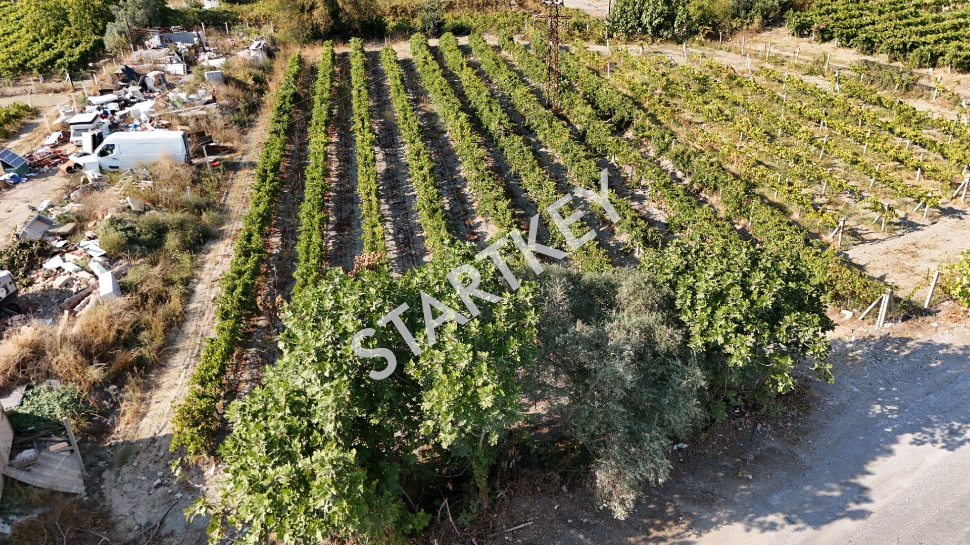 Property-photo