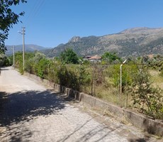 köyceğiz yangıda satılık 9221 m2 tarla