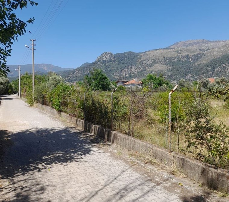köyceğiz yangıda satılık 9221 m2 tarla