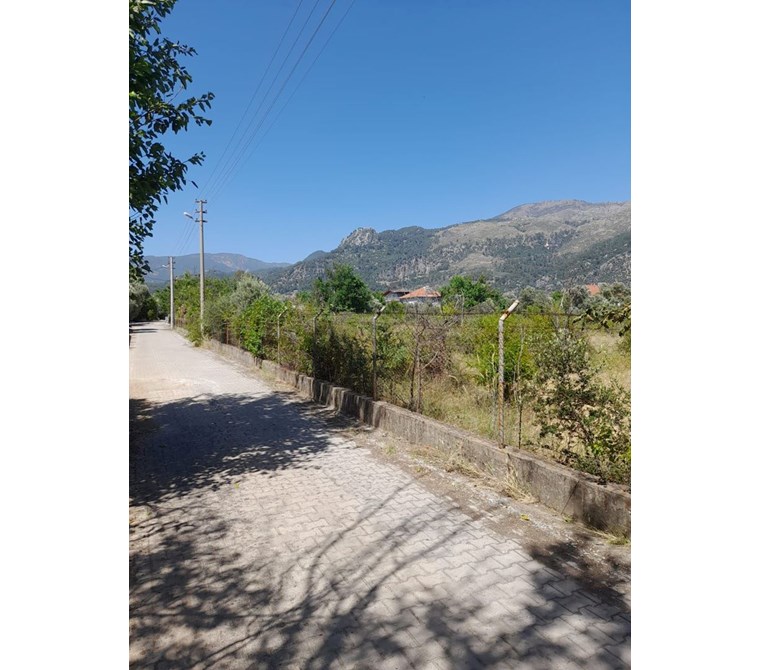 köyceğiz yangıda satılık 9221 m2 tarla