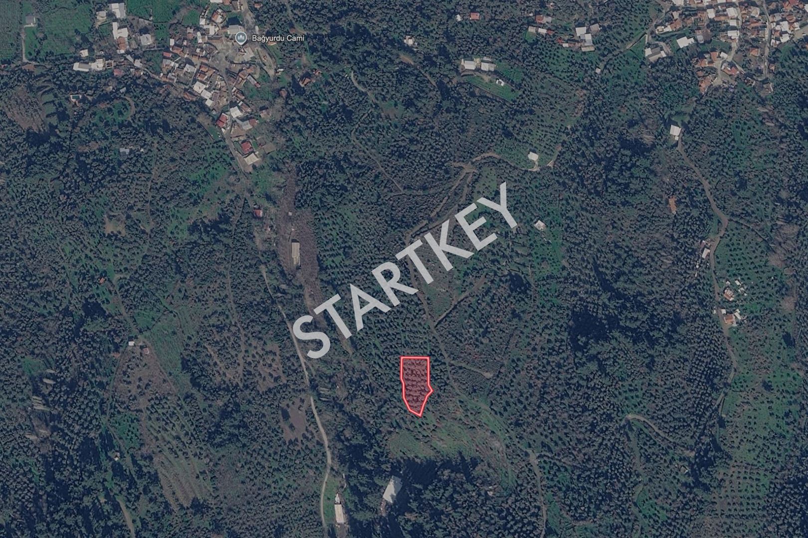 Property-photo