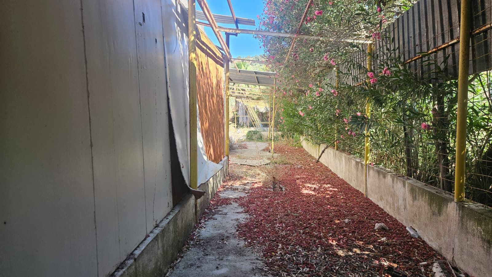 Property-photo