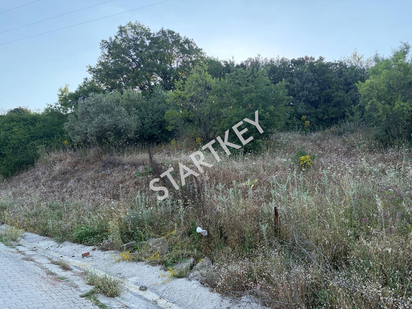 Property-photo