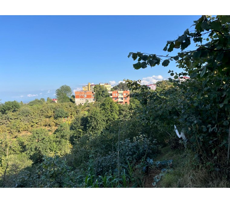 TRABZON ÇİMENLİ İMARLI DENİZ MANZARALI VİLLALIK ARSA 661M2