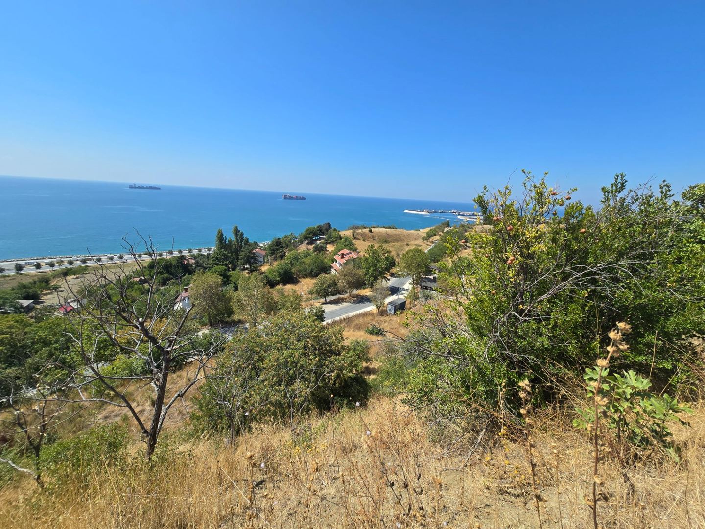 Property-photo