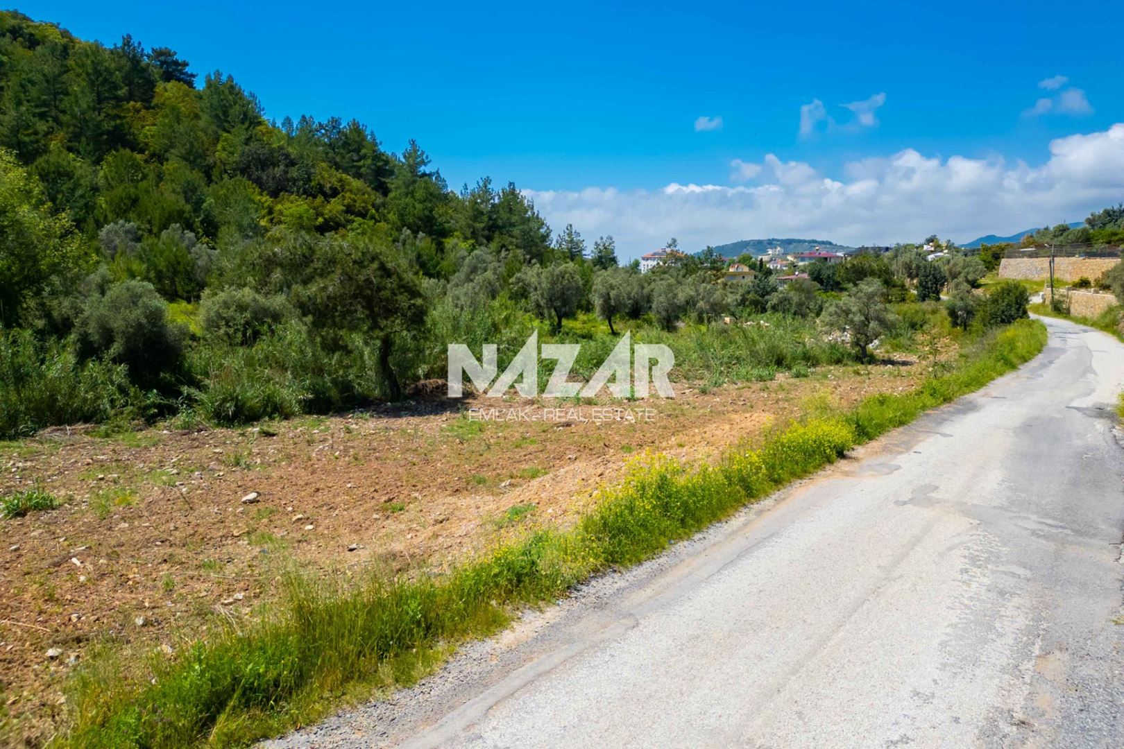 Property-photo