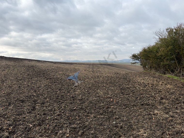TEKIRDAĞ SÜLEYMANPAŞA OSMANLI KÖYÜ’NDE 89.240 M² SATILIK TARLA