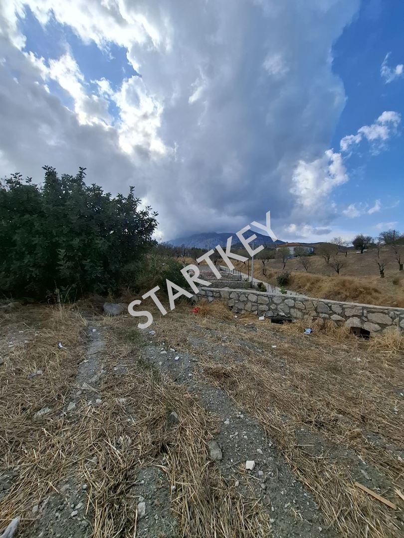 Property-photo