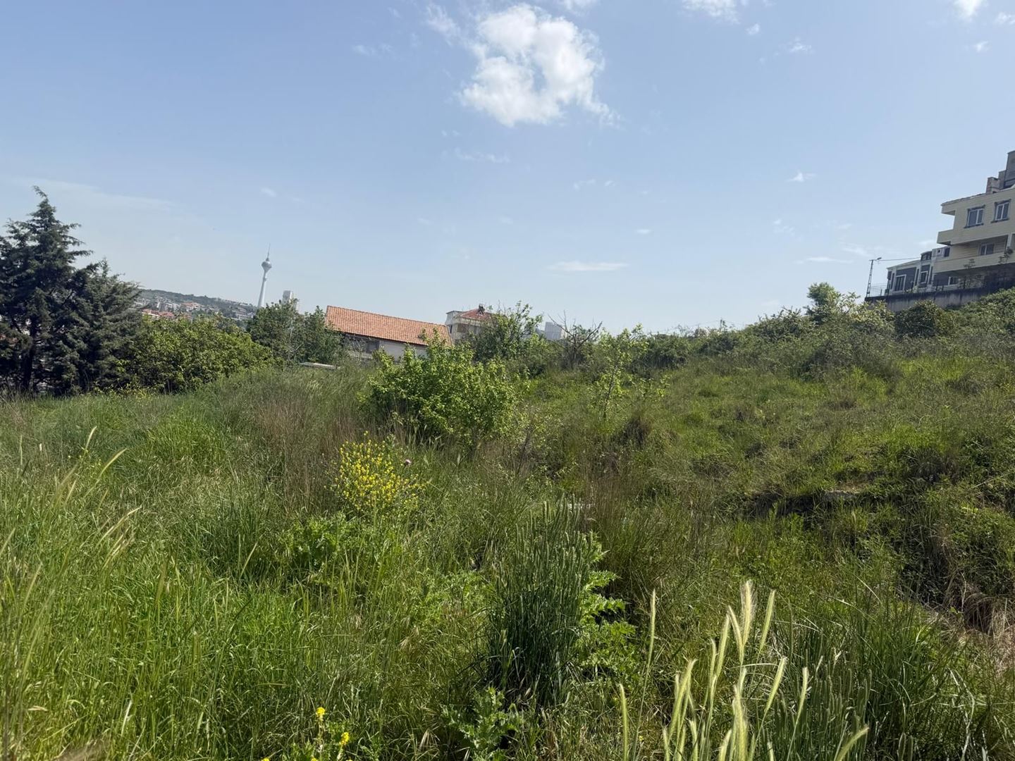 Property-photo