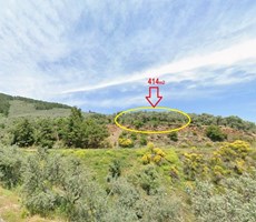 Acele Satılık Bayındır Kızıloba Köye Yakın 415m2 Satılık Zeytinlik