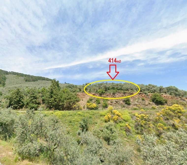 Acele Satılık Bayındır Kızıloba Köye Yakın 415m2 Satılık Zeytinlik