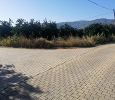 MUĞLA KÖYCEĞİZ DÖĞÜŞBELEN MH 6682 M2 İMARLI NARENCİYE BAHCESİ
