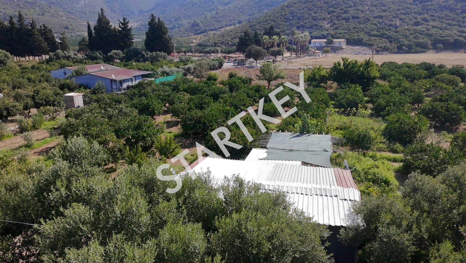 Property-photo