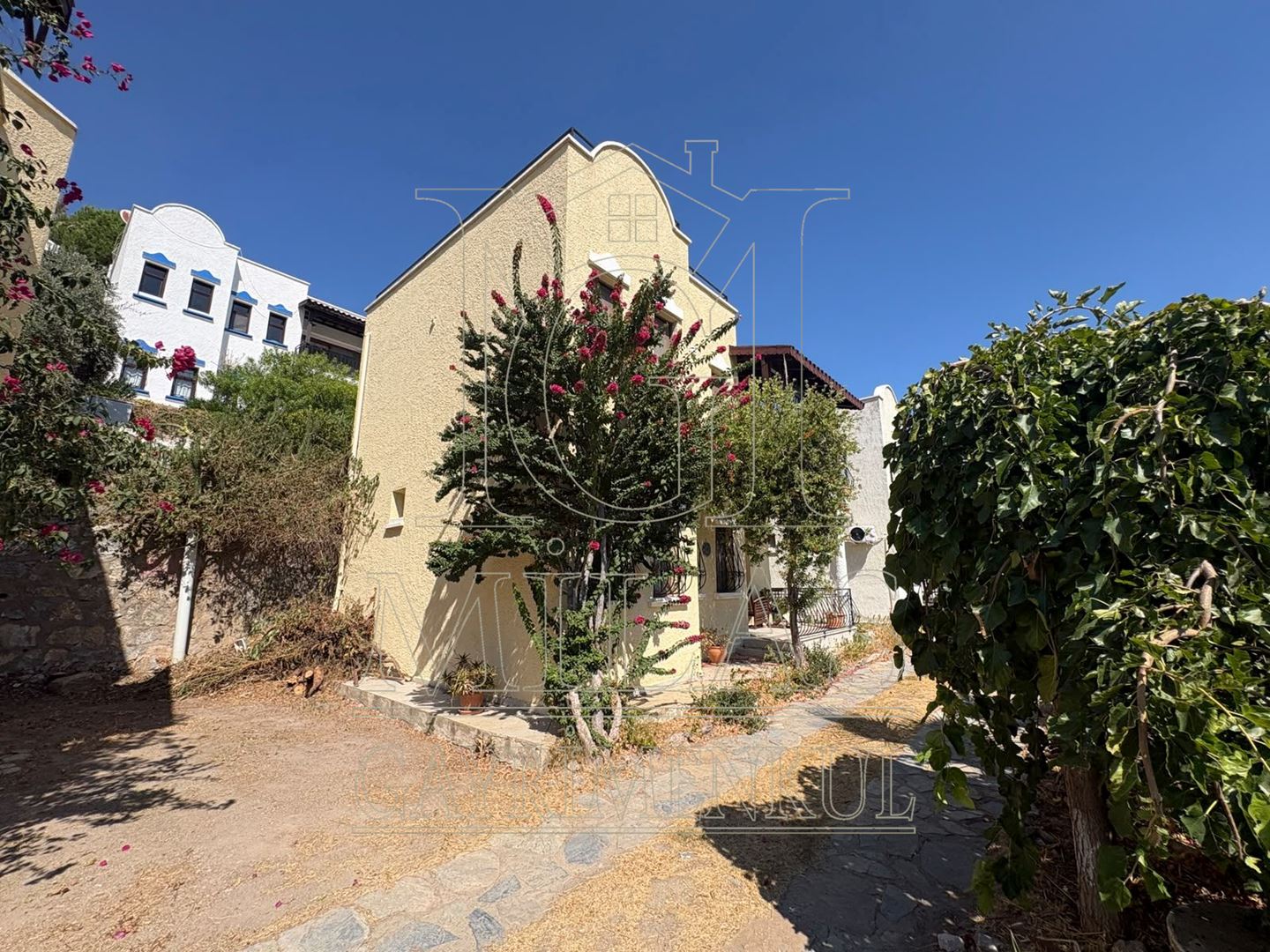 Property-photo