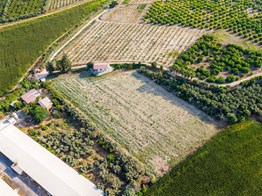 TARSUS ÖZBEK'TE 8.735 M2 İÇİNDE SATILIK BAHÇE+EV+TARLA