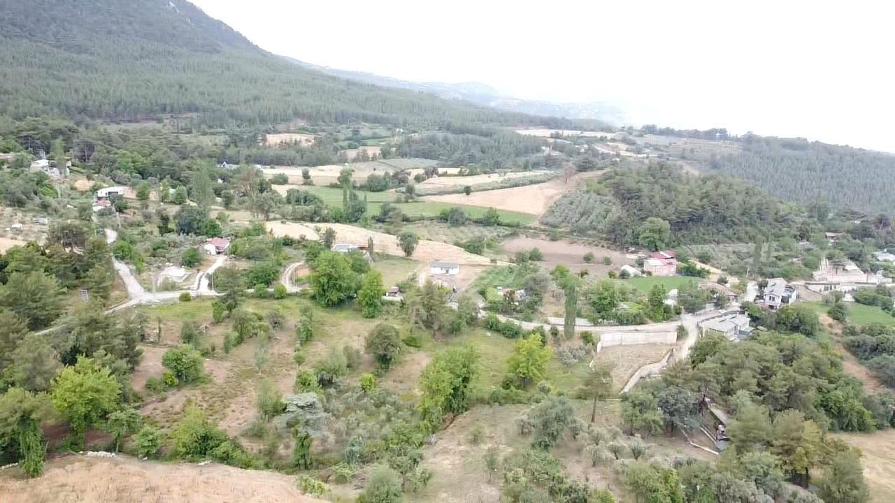 Property-photo