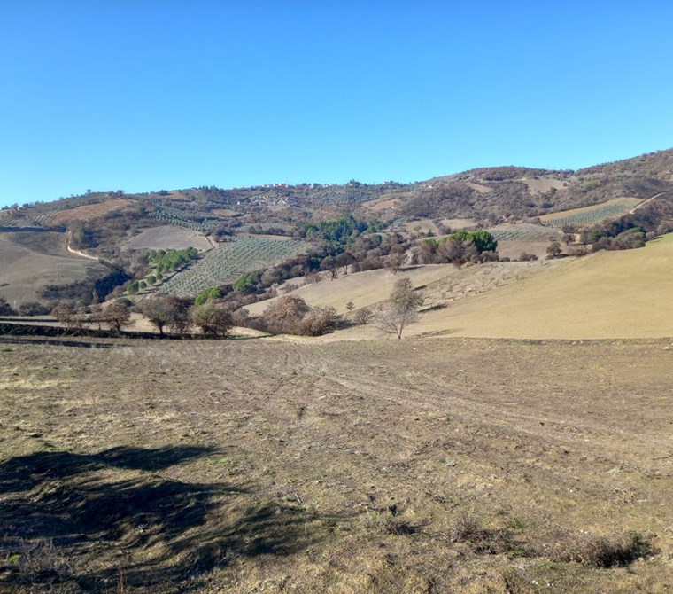 MANİSA GÖRDES YENİKÖY DE SATILIK 59.000 M2 TARLA 2.250.000 TL