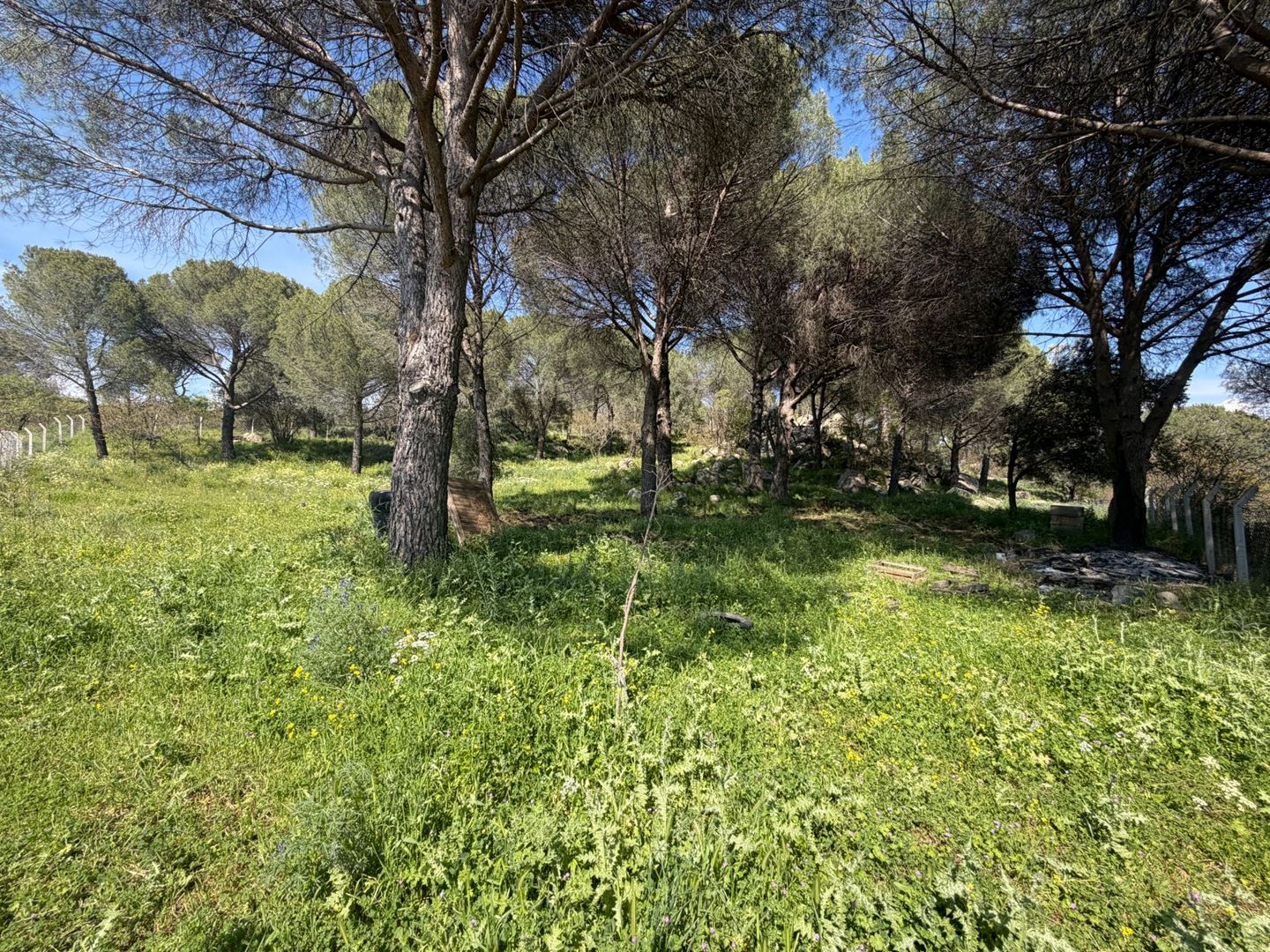 Property-photo