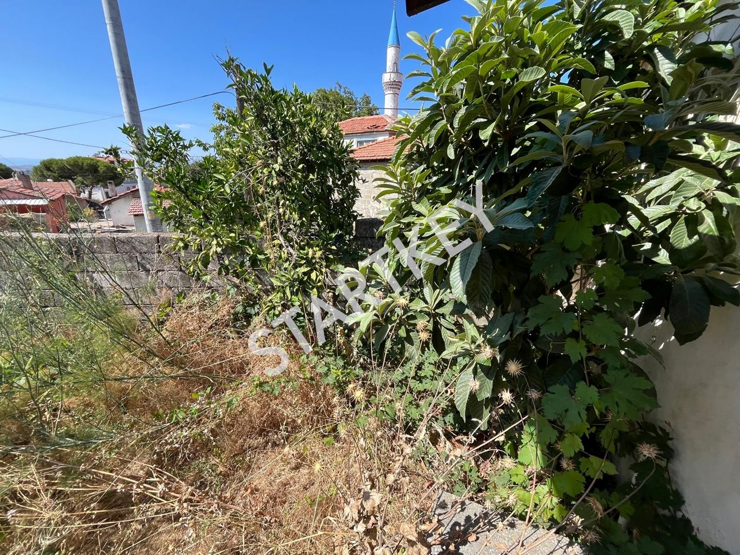 Property-photo