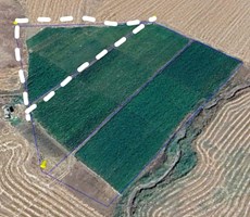 EMLAK 72'DEN BEŞİRİDE SATILIK SULU TARLA