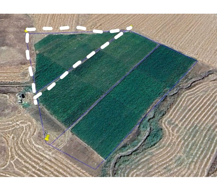 EMLAK 72'DEN BEŞİRİDE SATILIK SULU TARLA