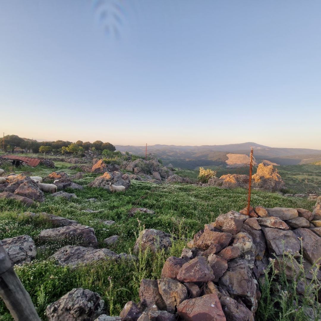 Property-photo
