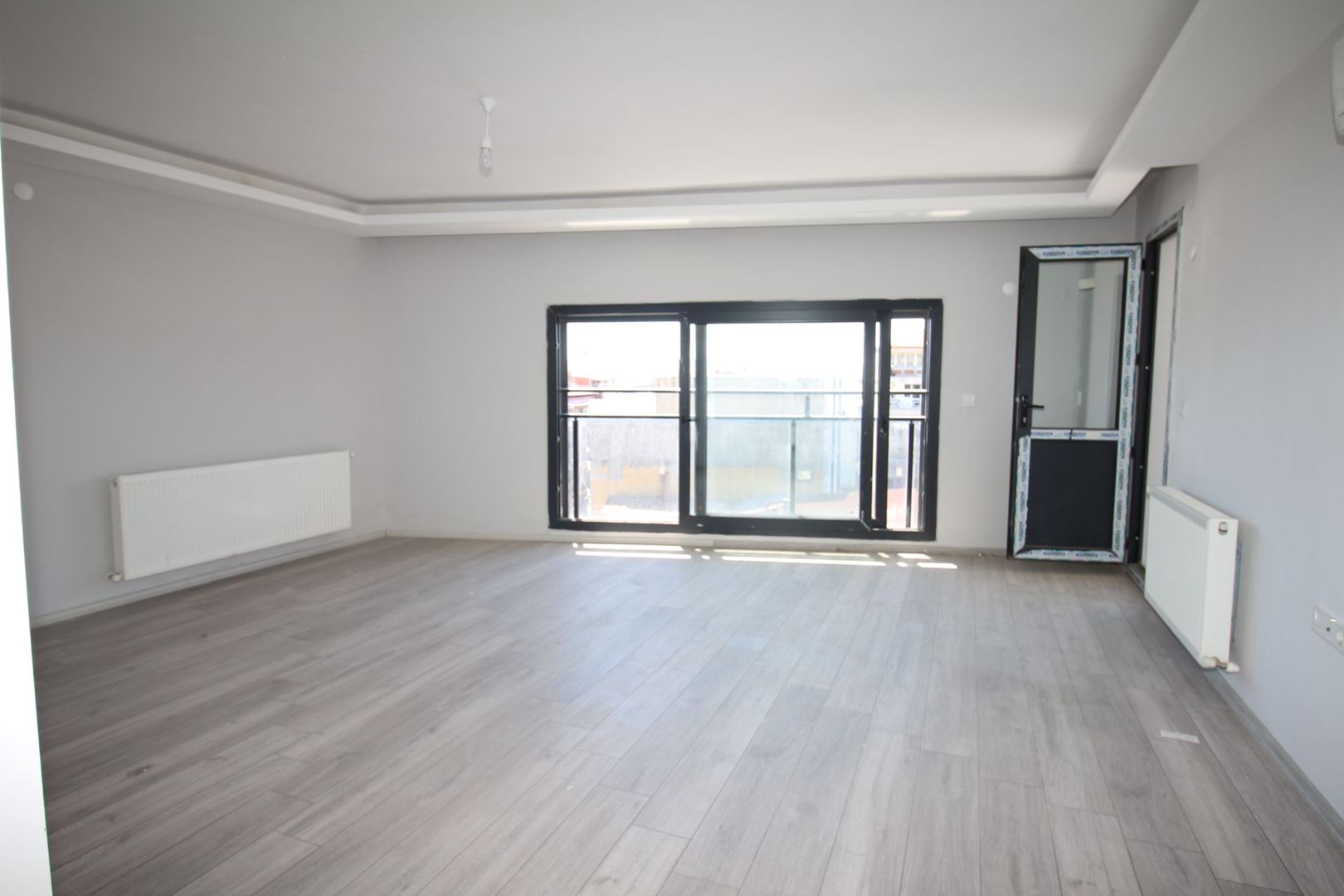 19743637