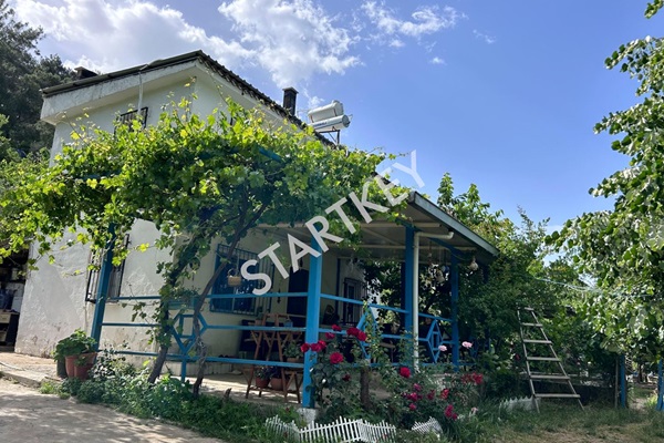 Property-photo