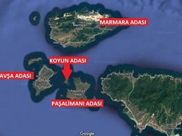 MARMARA'NIN İNCİSİ KOYUN ADASINDA SATILIK 13 DÖNÜM ARSA P218552